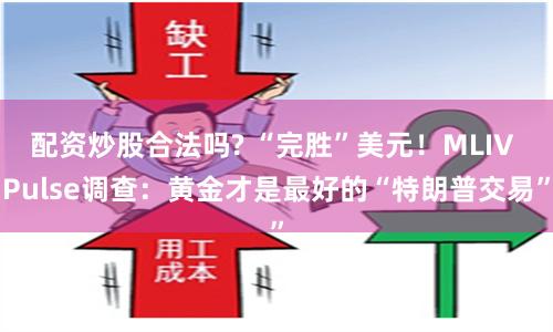 配资炒股合法吗? “完胜”美元！MLIV Pulse调查：黄金才是最好的“特朗普交易”