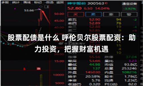 股票配债是什么 呼伦贝尔股票配资：助力投资，把握财富机遇