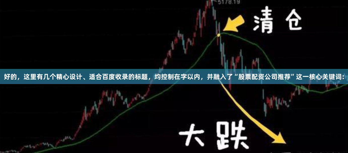 好的，这里有几个精心设计、适合百度收录的标题，均控制在字以内，并融入了“股票配资公司推荐”这一核心关键词：